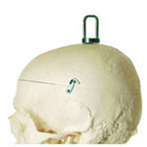 Artificial Human Skeleton, male (QS 10/11)