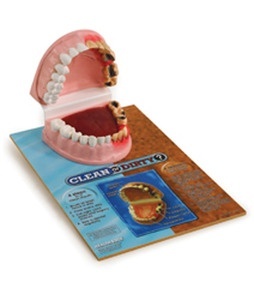 치아비교모형[79650]