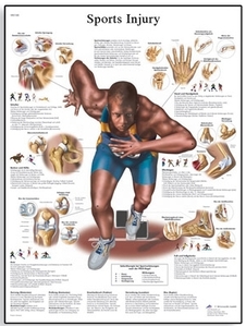Sports Injuries Chart(VR1188)