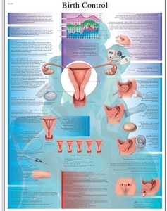 Birth Control Chart(VR1591)