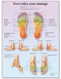 Foot Reflex Zone Massage Chart(VR1810)
