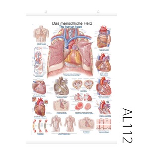 심장차트(AL112)